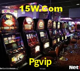 Experiência VIP Pgvip