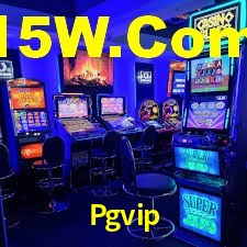 Premium Interface Pgvip